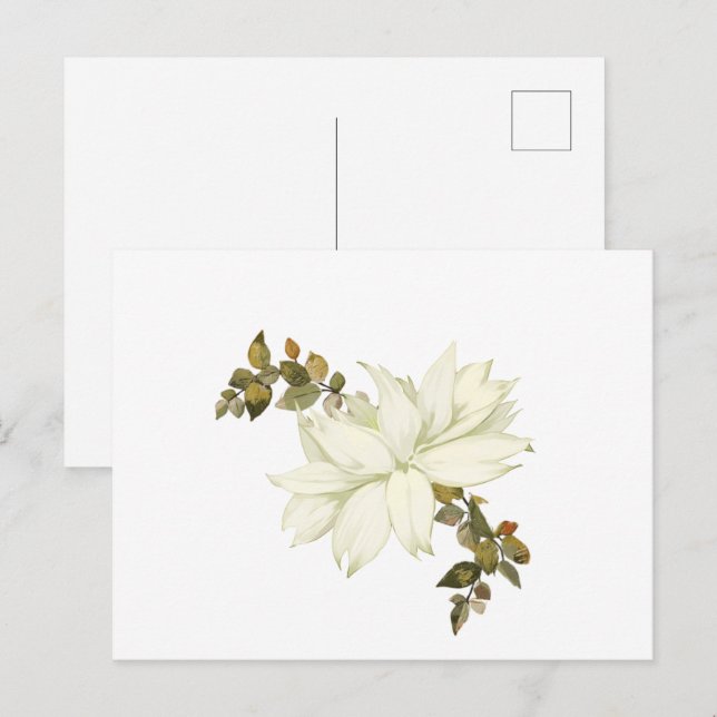 Enkel vit blomma och lövverk vykort (Fram/baksida)