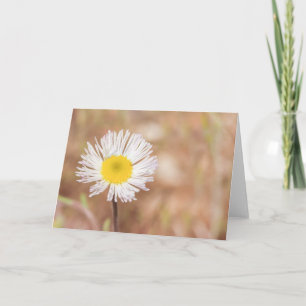 Enkel vit Daisy i Vild blomma i valfri Tillfälle Kort