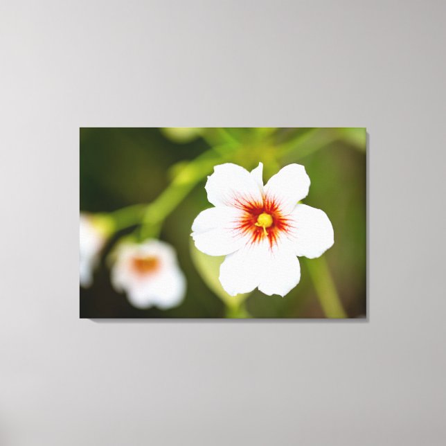 Enkel vit Hibiscus Flower Canvastryck (Framsida)