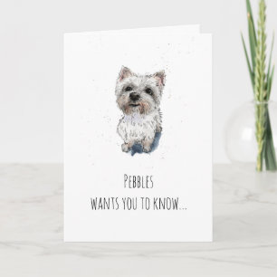 Enkel Westie West Highland Terrier Fars dag Kort