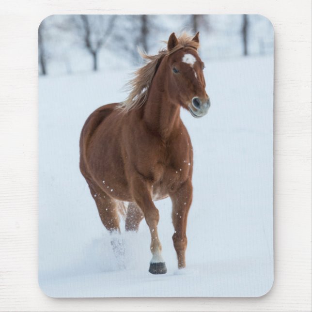 Enkelhäst i Snö Musmatta (Framsidan)