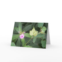 Enkelhet är den ultimata sofistikerade offerten