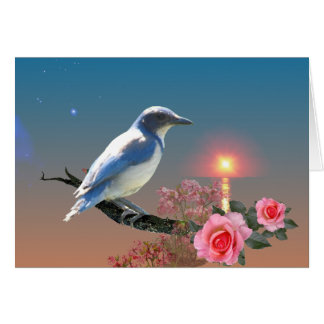 Enkelhet Hälsningskort