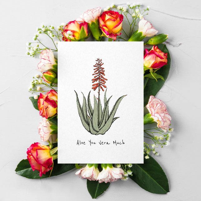 Enkelt Aloe du har mycket tomt Cactus Plant Art Helgkort (Hand-Drawn Cactus Plant Art in Green & Orange Hues. Valentines Day, Birthday, Anniversary, Love)