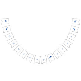 Enkelt blått och vitt Anpassade Studenten Vimplar