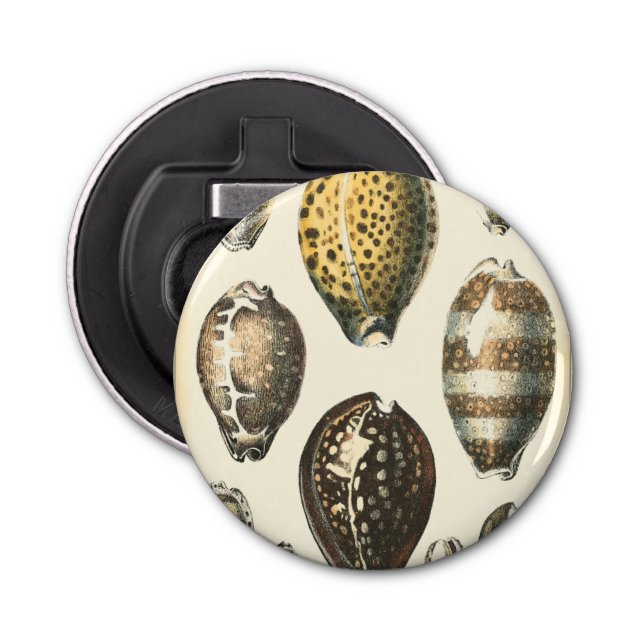 Enkelt formade seashceller flasköppnare (Framsidan)