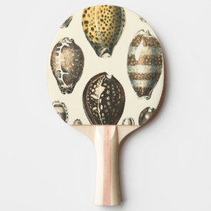 Enkelt formade Seashceller Pingisracket