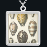 Enkelt formade seashceller silverpläterat halsband<br><div class="desc">Ljugit ut på den varma sanden och hitta de gömt skatterna! Den här målningen av Kobeit fångar det vackra vatten-livet i land. Kobeit fångar den vackra arrayen av sepia-tonade segelceller i en vintage ton. Skaffa din vackra havsart idag på din nästa Zazzle-produkt.</div>
