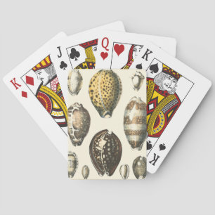 Enkelt formade seashceller spel kort