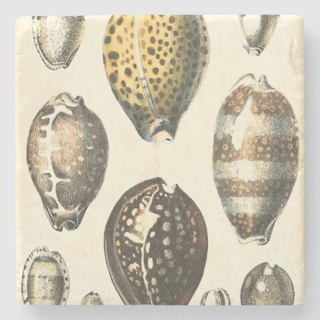 Enkelt formade Seashceller Stenunderlägg (Framsidan)