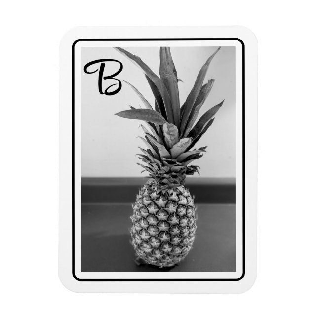 Enkelt foto av en ananas med en första början magnet (Vertikal)