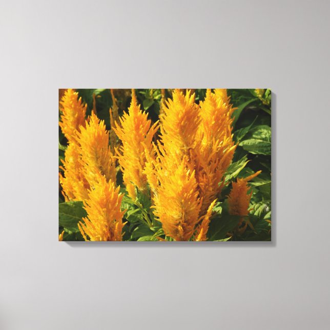Enkelt gula blommor canvastryck (Framsida)