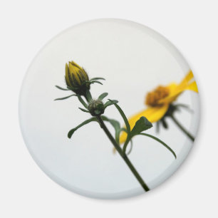 Enkelt Gula blommor Round Magnet