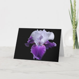 Enkelt kungliga beställnings- hälsningkort kort