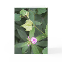 Enkelt liv ... Är inte enkel Flower-offert