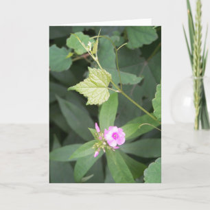 Enkelt liv ... Är inte enkel Flower-offert Kort