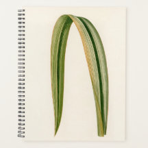 Enkelt Löv Botanic Mamma Pappa