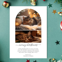 Enkelt Meowy God jul Cute Cat Arch-foto