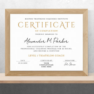 Enkelt minimalt klassiskt svart vitt diplomat poster