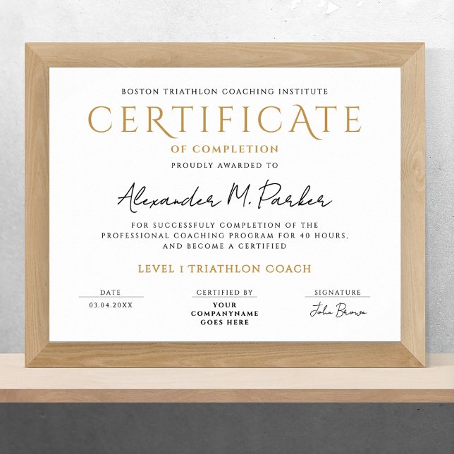 Enkelt minimalt klassiskt svart vitt diplomat poster (Skapare uppladdad)