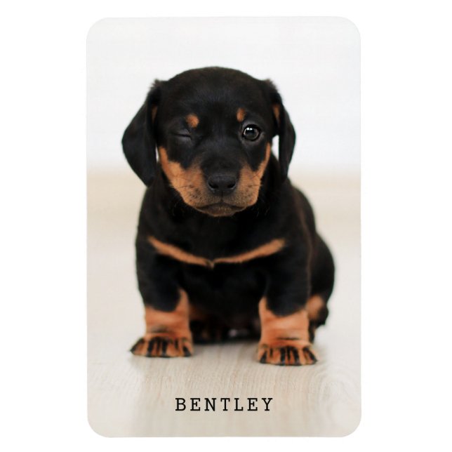 Enkelt Modern Fullt Photo Personlig| Svart Magnet (Vertikal)