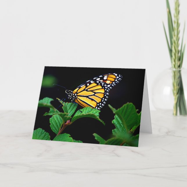Enkelt monarch Butterfly i Skugga Note Card Kort (Framsida)