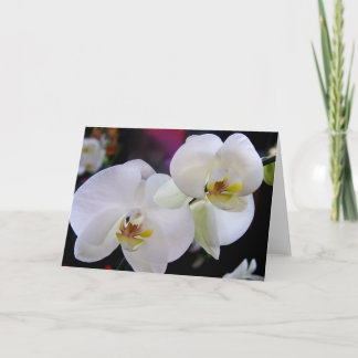 Enkelt orchids kort