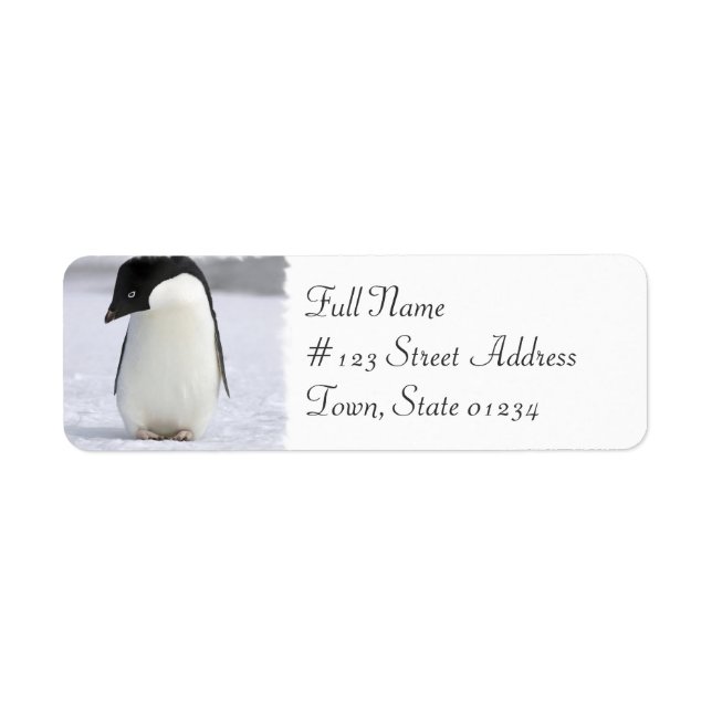 Enkelt penguin Returadress-mejseletikett Returadress Etikett (Framsidan)