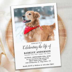 Enkelt Pet Memorial Photo Firande of Life Inbjudningar