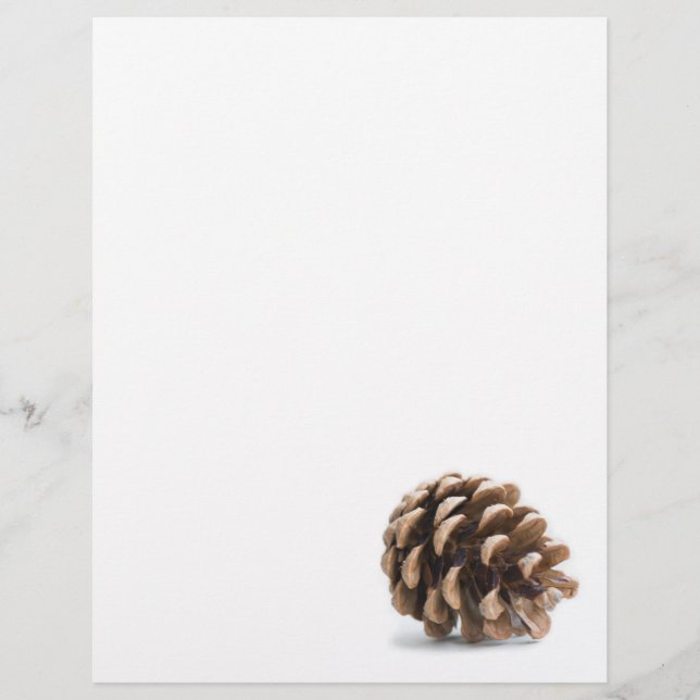 Enkelt pinekon (Framsida)