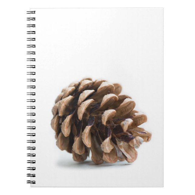 Enkelt pinekon anteckningsbok med spiral (Framsidan)
