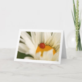 Enkelt registreringskort för Ladybug-mappat tomt Kort