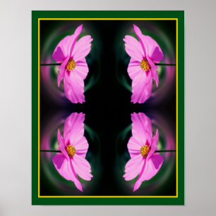 Enkelt Rosa Cosmos blomma Abstrakt Poster