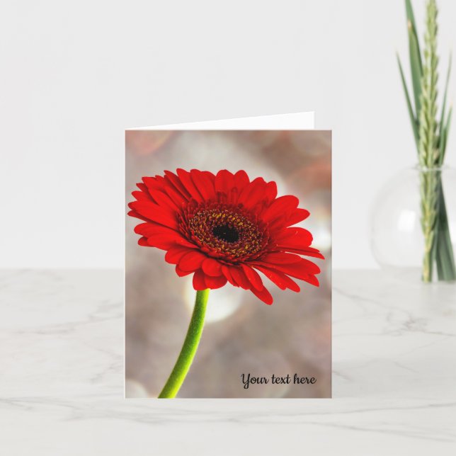 Enkelt rött Gerbera-mappat gratulationskort Kort (Framsida)