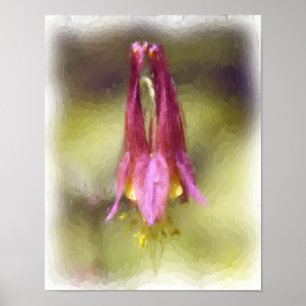 Enkelt rött kolumbine-blombild poster