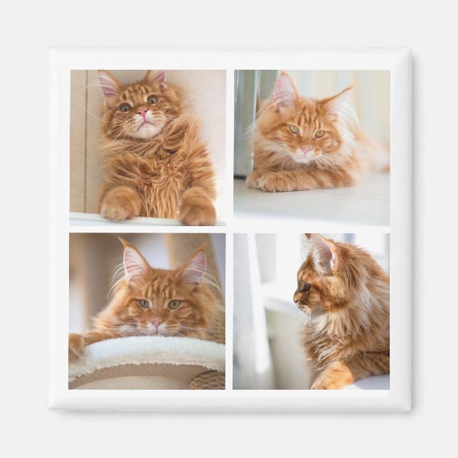 Enkelt rutnätssamlag 4 fyra foton magnet (Framsidan)