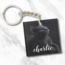 Enkelt sällskapsfoto Cat Namn