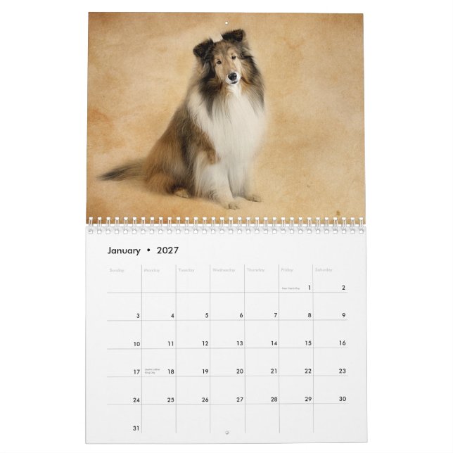 Enkelt Shelties kalender (Jan 2027)
