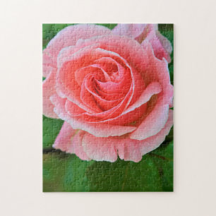 Enkelt stort Rosa ros uppåt Pussel