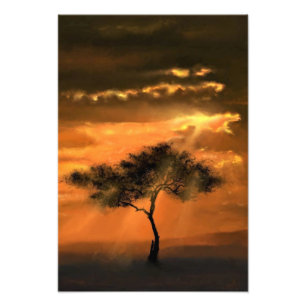 Enkelt Träd Sunbeams Sunset Photo Print Fototryck