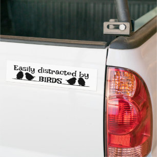 Enkelt utspridd av BIRDS Roligt Birding Quote Bildekal