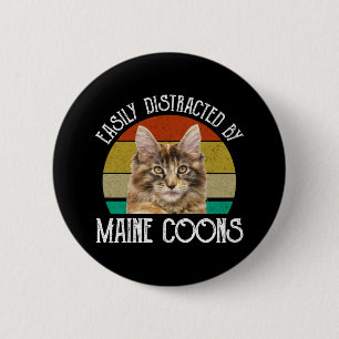 Enkelt utspridd av maine Coons Knapp