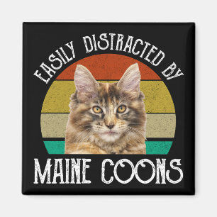 Enkelt utspridd av maine Coons Magnet