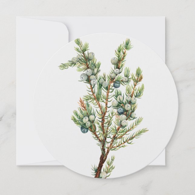 Enkelt Vintage Botaniskt berg Juniper Inbjudningar (Framsida)