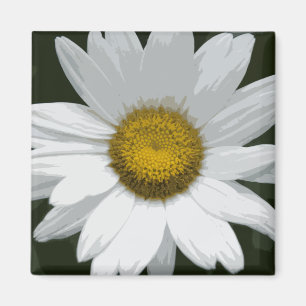 Enkelvit Daisy Magnet