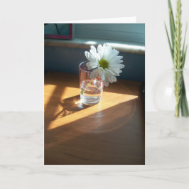 Enkelvit daisy på ett soligt ställe på ett blankpr kort