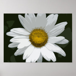 Enkelvit Daisy Poster