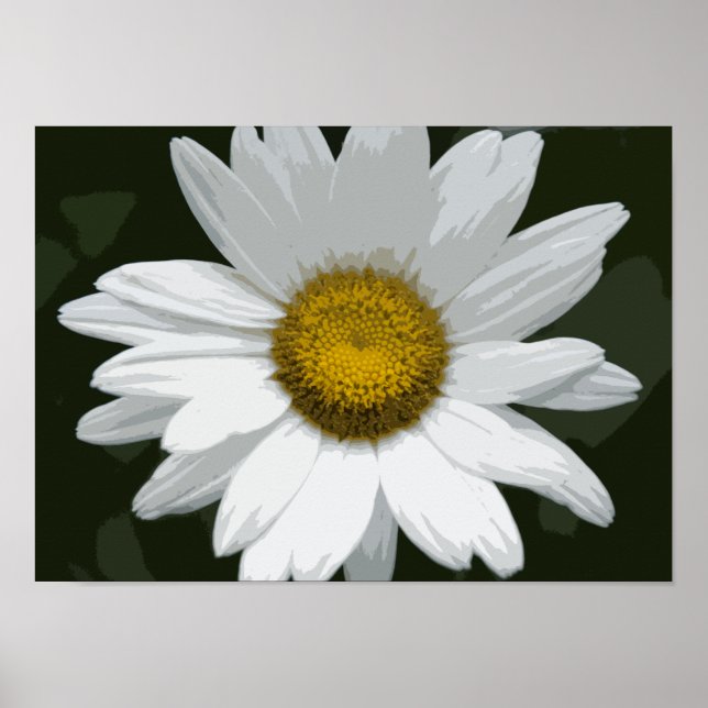 Enkelvit Daisy Poster (Framsidan)