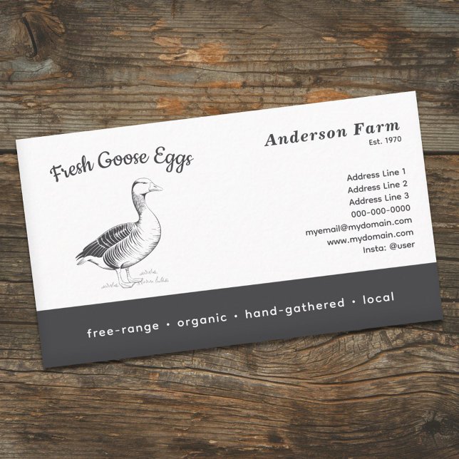 Enkla ägg av färsk gäss visitkort (Simple Farm Fresh Goose Eggs Business Card)