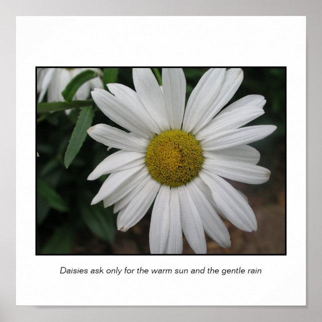 Enkla begäranden poster (Framsidan)